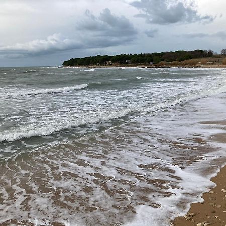 App Sorgo Appartement Novigrad Istria Buitenkant foto