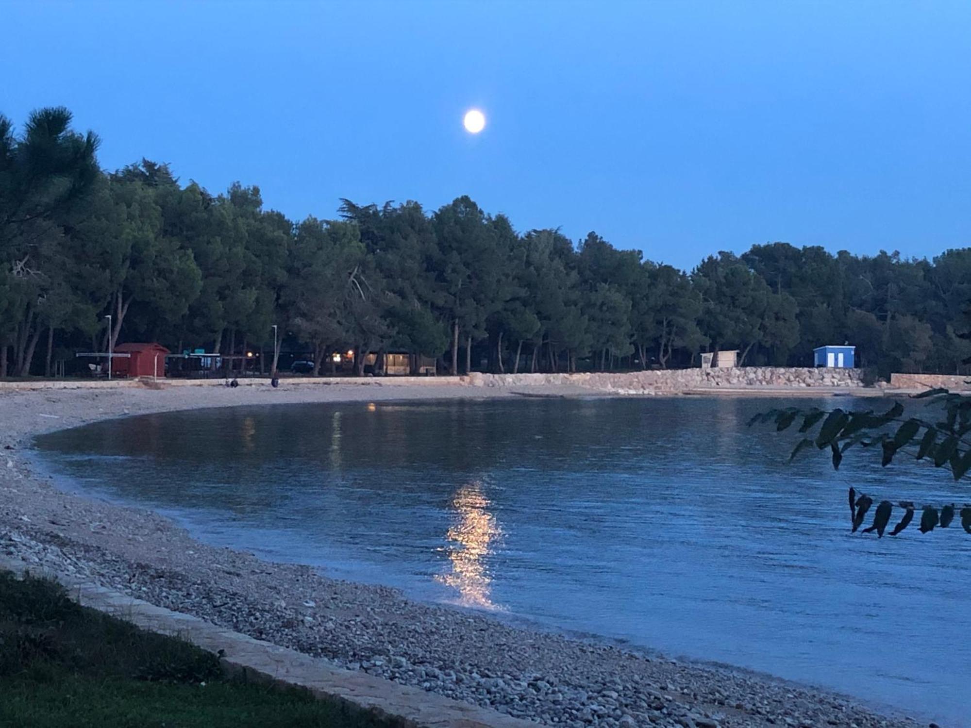 App Sorgo Appartement Novigrad Istria Buitenkant foto