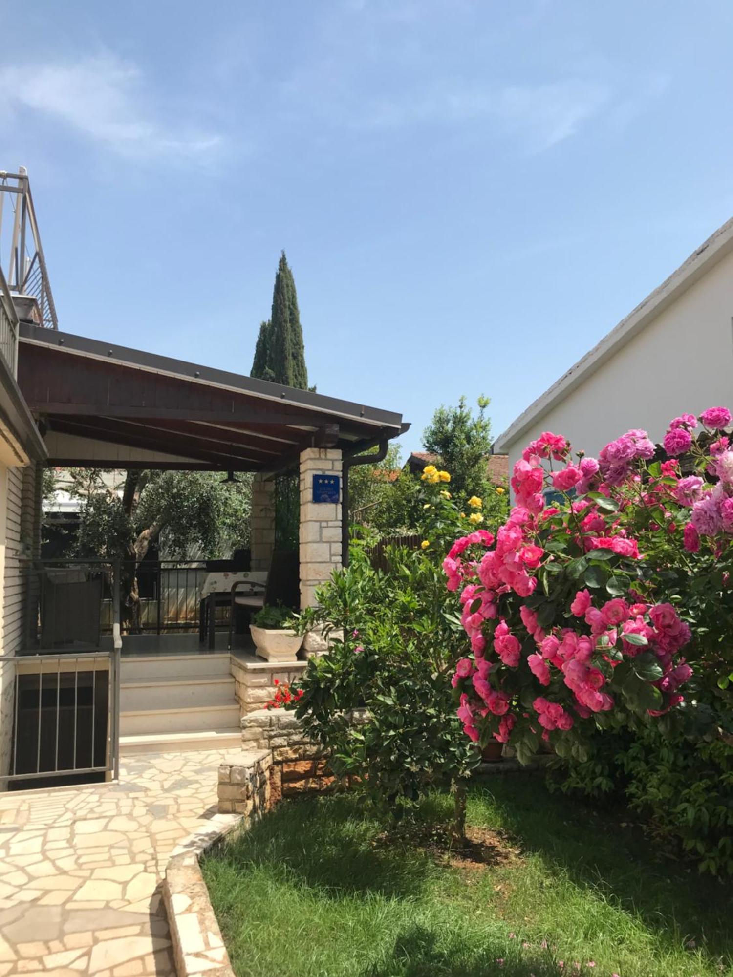 App Sorgo Appartement Novigrad Istria Buitenkant foto