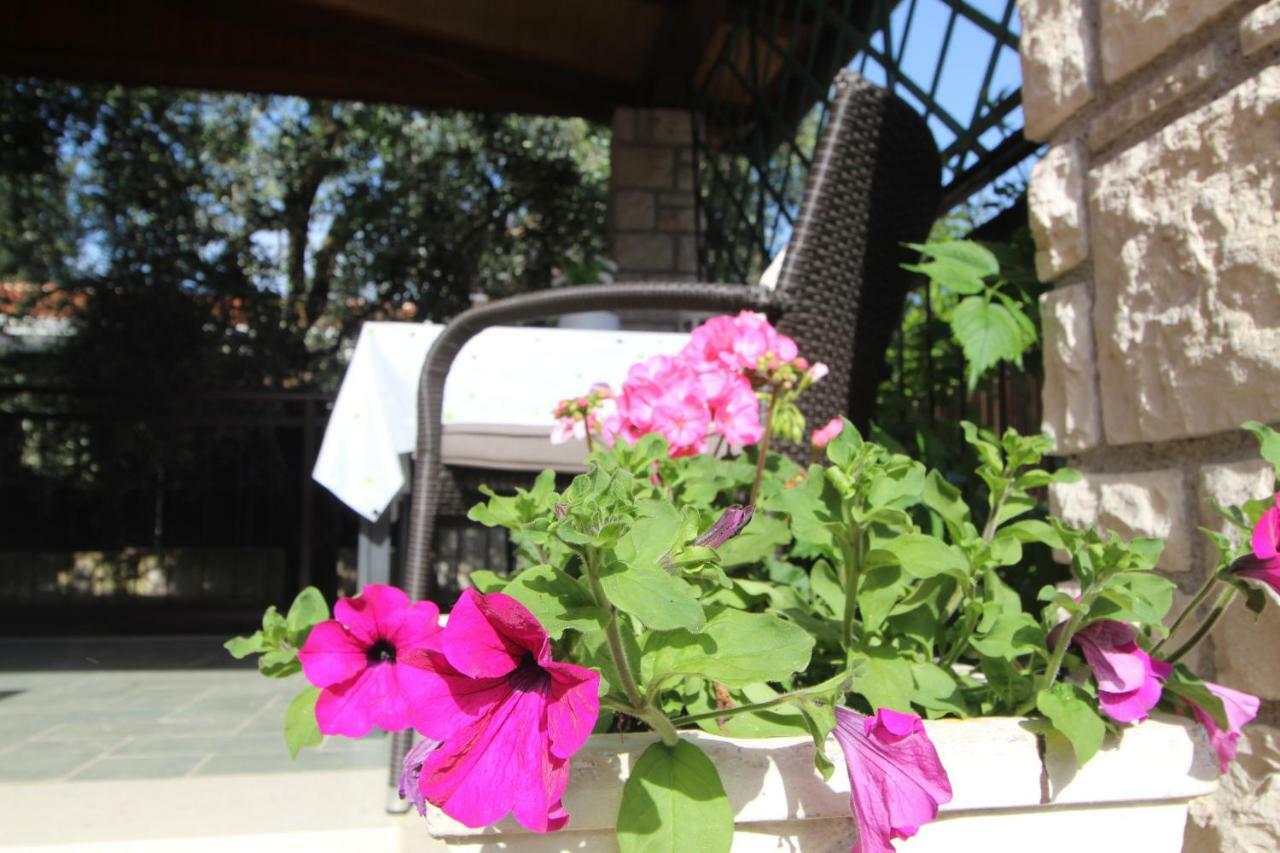 App Sorgo Appartement Novigrad Istria Buitenkant foto